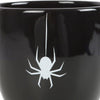 Black Spider Teacup - Wicked Witcheries