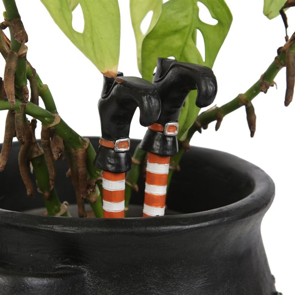 Set of 2 Witch Leg Plant Pot Ornaments - Wicked Witcheries